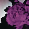 JOHN LEGEND - ALL OF ME